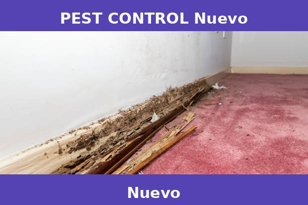 PEST CONTROL Nuevo